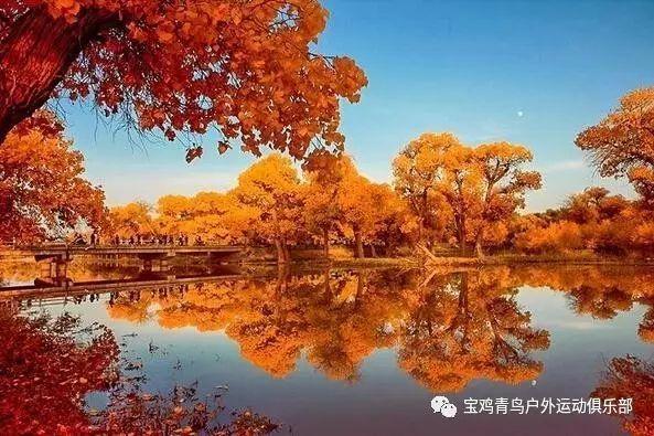 【点赞】国家足球队！遵义小伙李习楠入选